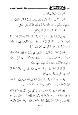 اللؤلؤ المكنون في سيرة النبي المأمون