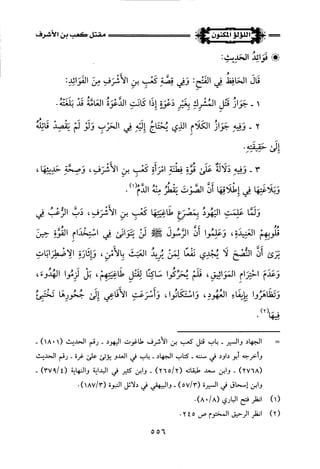 اللؤلؤ المكنون في سيرة النبي المأمون