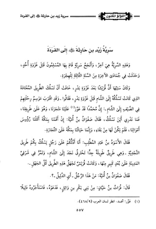 اللؤلؤ المكنون في سيرة النبي المأمون