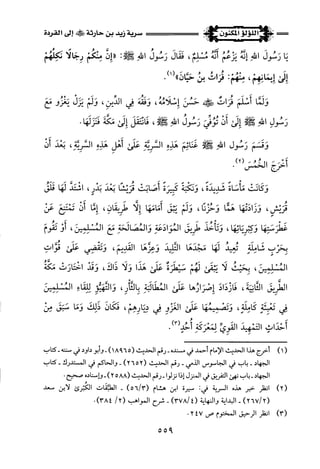 اللؤلؤ المكنون في سيرة النبي المأمون