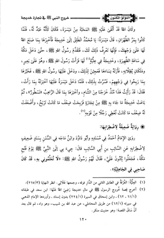 اللؤلؤ المكنون في سيرة النبي المأمون