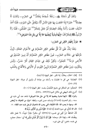 اللؤلؤ المكنون في سيرة النبي المأمون