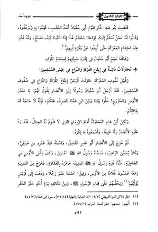 اللؤلؤ المكنون في سيرة النبي المأمون