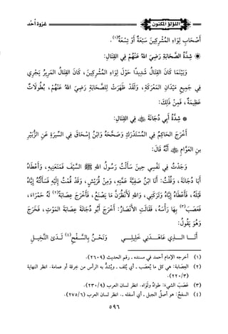 اللؤلؤ المكنون في سيرة النبي المأمون