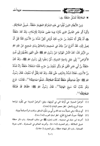 اللؤلؤ المكنون في سيرة النبي المأمون