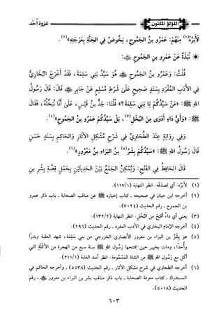 اللؤلؤ المكنون في سيرة النبي المأمون