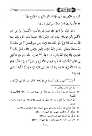 اللؤلؤ المكنون في سيرة النبي المأمون