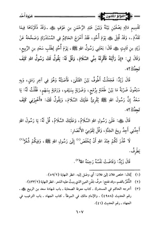 اللؤلؤ المكنون في سيرة النبي المأمون