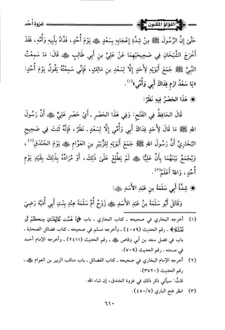 اللؤلؤ المكنون في سيرة النبي المأمون