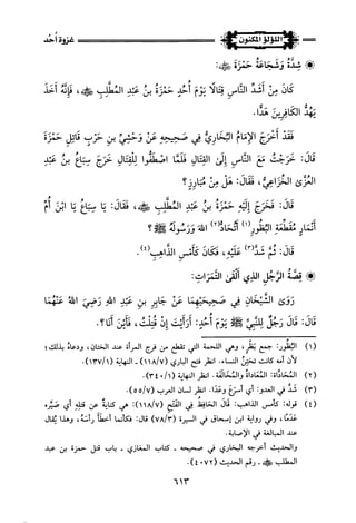 اللؤلؤ المكنون في سيرة النبي المأمون