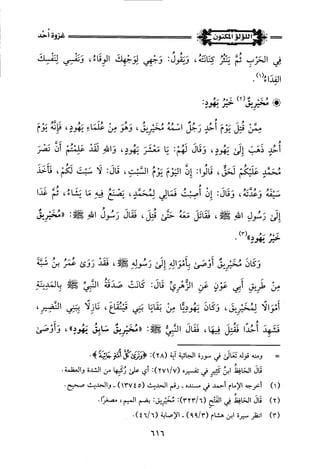 اللؤلؤ المكنون في سيرة النبي المأمون