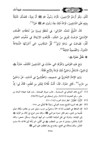 اللؤلؤ المكنون في سيرة النبي المأمون