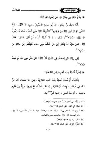 اللؤلؤ المكنون في سيرة النبي المأمون