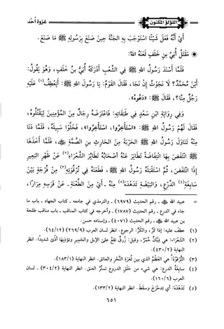 اللؤلؤ المكنون في سيرة النبي المأمون