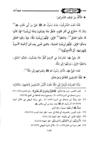 اللؤلؤ المكنون في سيرة النبي المأمون