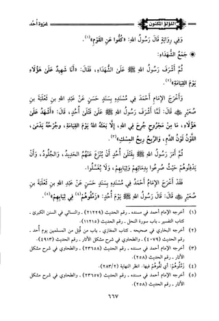 اللؤلؤ المكنون في سيرة النبي المأمون