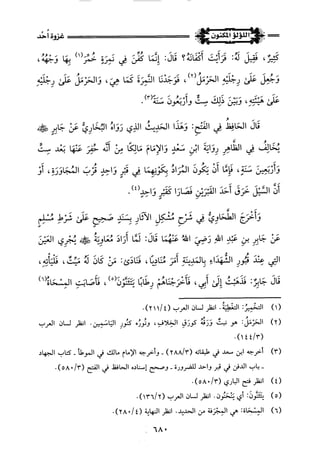 اللؤلؤ المكنون في سيرة النبي المأمون