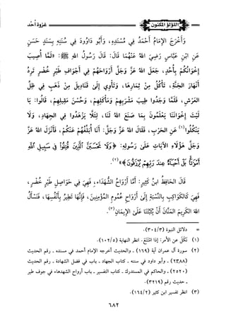 اللؤلؤ المكنون في سيرة النبي المأمون