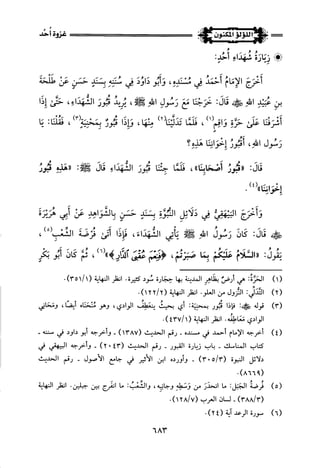 اللؤلؤ المكنون في سيرة النبي المأمون