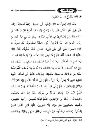 اللؤلؤ المكنون في سيرة النبي المأمون