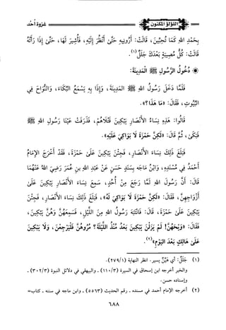 اللؤلؤ المكنون في سيرة النبي المأمون