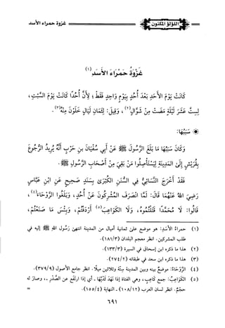 اللؤلؤ المكنون في سيرة النبي المأمون