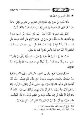 اللؤلؤ المكنون في سيرة النبي المأمون