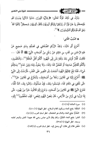 اللؤلؤ المكنون في سيرة النبي المأمون