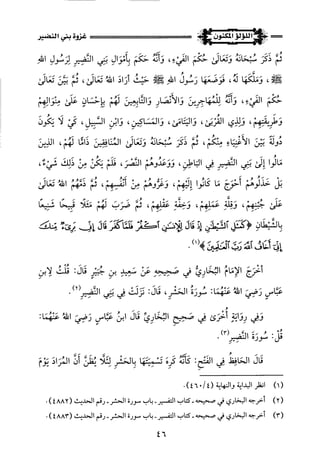 اللؤلؤ المكنون في سيرة النبي المأمون