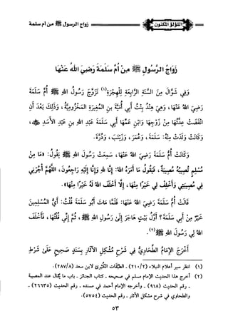 اللؤلؤ المكنون في سيرة النبي المأمون