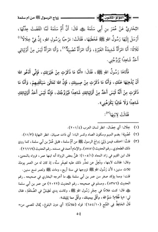 اللؤلؤ المكنون في سيرة النبي المأمون