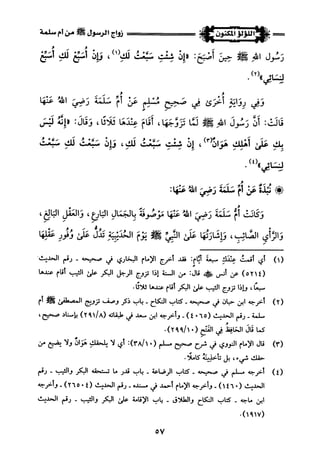 اللؤلؤ المكنون في سيرة النبي المأمون