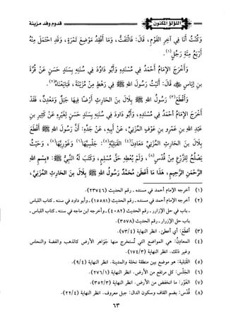 اللؤلؤ المكنون في سيرة النبي المأمون