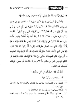 اللؤلؤ المكنون في سيرة النبي المأمون