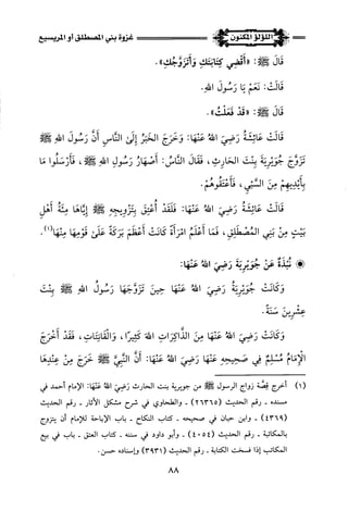 اللؤلؤ المكنون في سيرة النبي المأمون