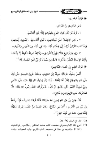 اللؤلؤ المكنون في سيرة النبي المأمون