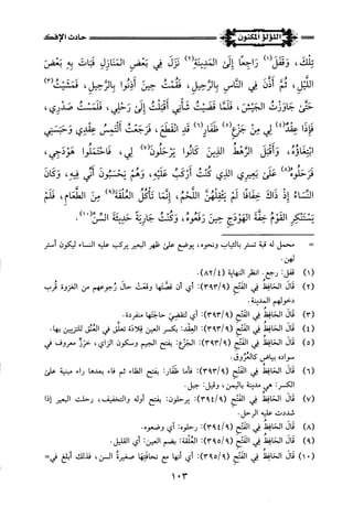 اللؤلؤ المكنون في سيرة النبي المأمون