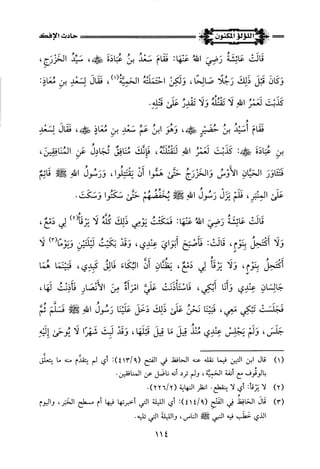 اللؤلؤ المكنون في سيرة النبي المأمون