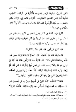 اللؤلؤ المكنون في سيرة النبي المأمون