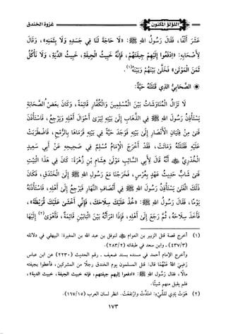 اللؤلؤ المكنون في سيرة النبي المأمون