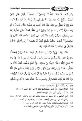 اللؤلؤ المكنون في سيرة النبي المأمون