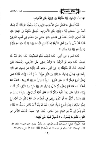 اللؤلؤ المكنون في سيرة النبي المأمون