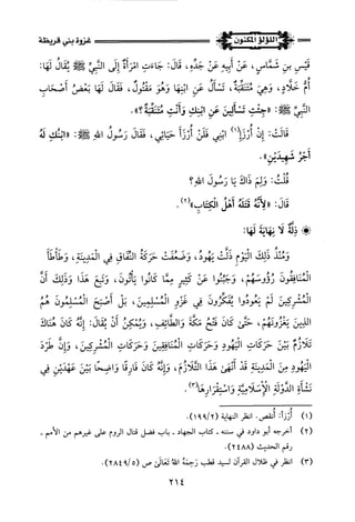 اللؤلؤ المكنون في سيرة النبي المأمون