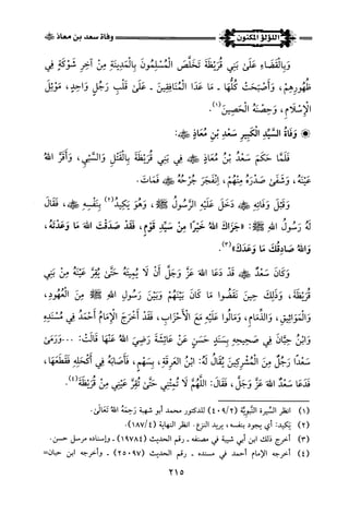 اللؤلؤ المكنون في سيرة النبي المأمون