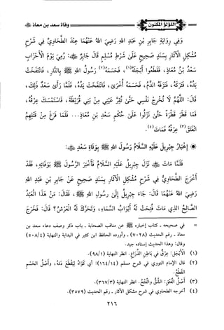 اللؤلؤ المكنون في سيرة النبي المأمون