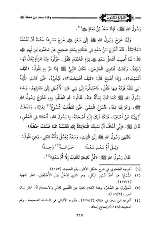 اللؤلؤ المكنون في سيرة النبي المأمون