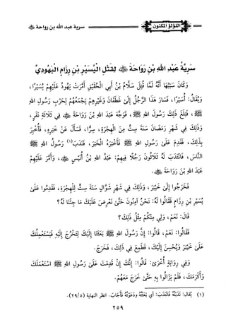 اللؤلؤ المكنون في سيرة النبي المأمون