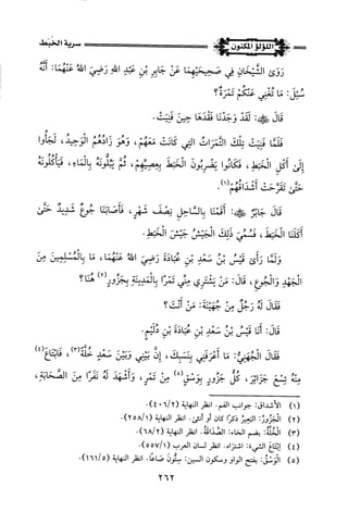 اللؤلؤ المكنون في سيرة النبي المأمون