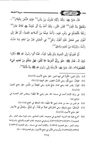 اللؤلؤ المكنون في سيرة النبي المأمون