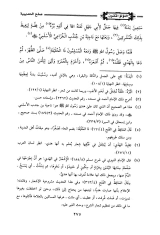 اللؤلؤ المكنون في سيرة النبي المأمون